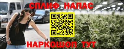 тгк Тара