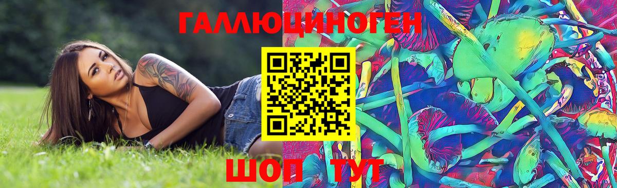 Псилоцибиновые грибы мицелий  Галлюциногенные грибы GOLDEN TEACHER  Вход с VPN  Орехово-Зуево 