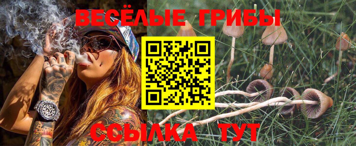 Галлюциногенные грибы ЛСД Орехово-Зуево