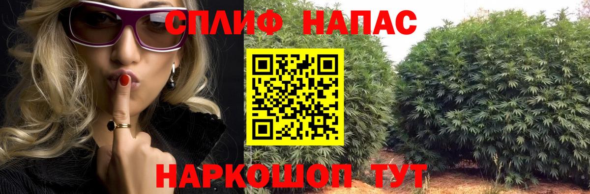 МАРИХУАНА планчик  Вход с VPN  Орехово-Зуево  МАРИХУАНА White Widow  Марихуана сатива 